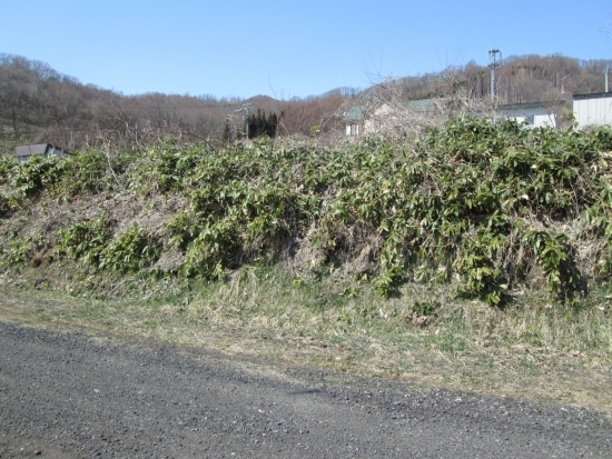 現況写真（１）