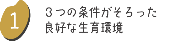 ３つの条件がそろった良好な生育環境